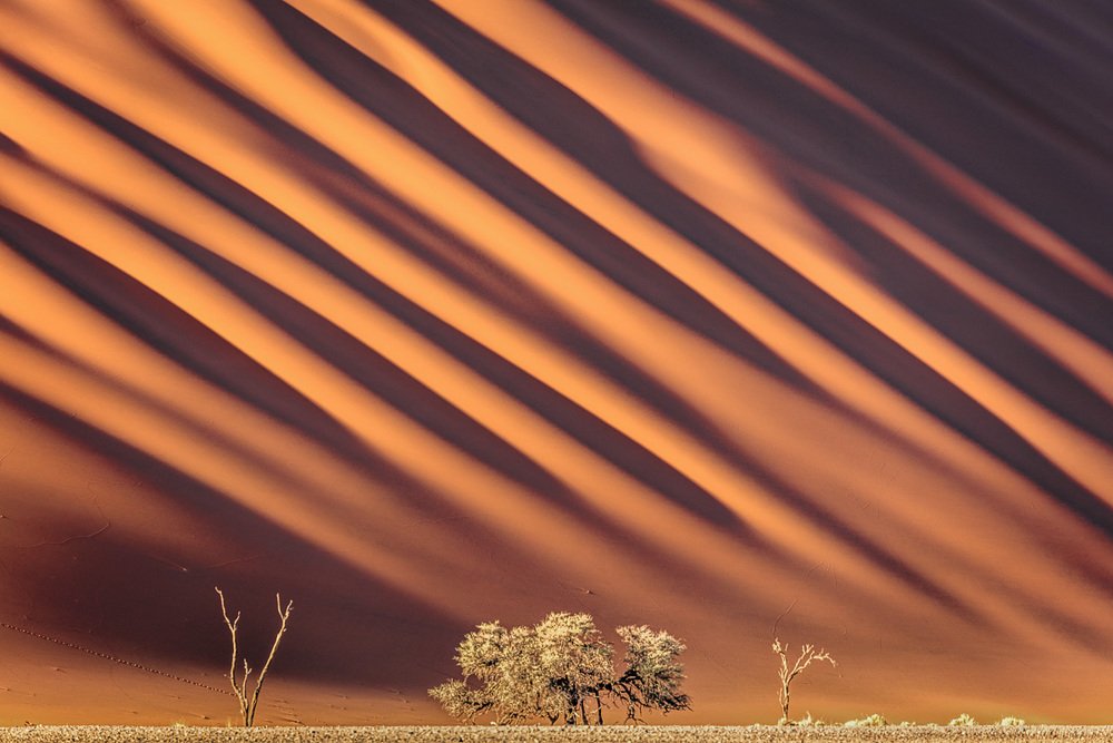 Photograph by Николай Наумов