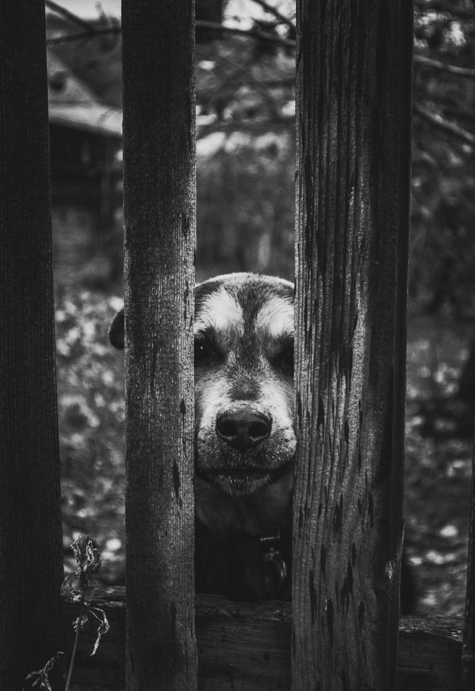 Photograph by Денис Белов