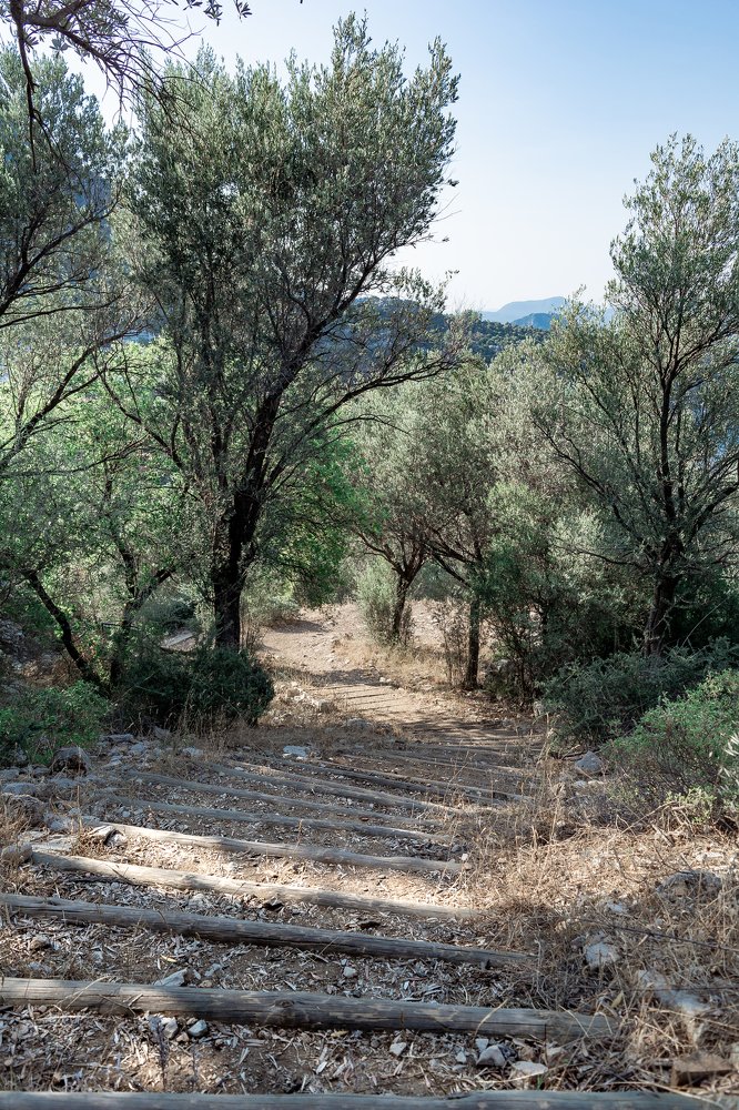 Photograph by Александр Руцкой