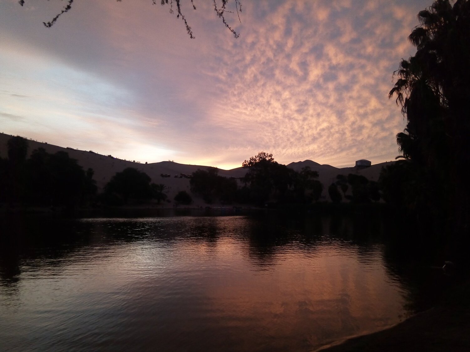Photo #4328352
