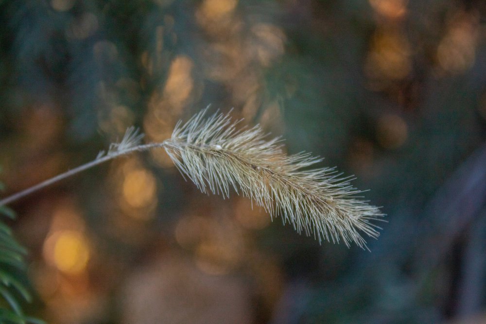 Photograph by Наталья Брунилина