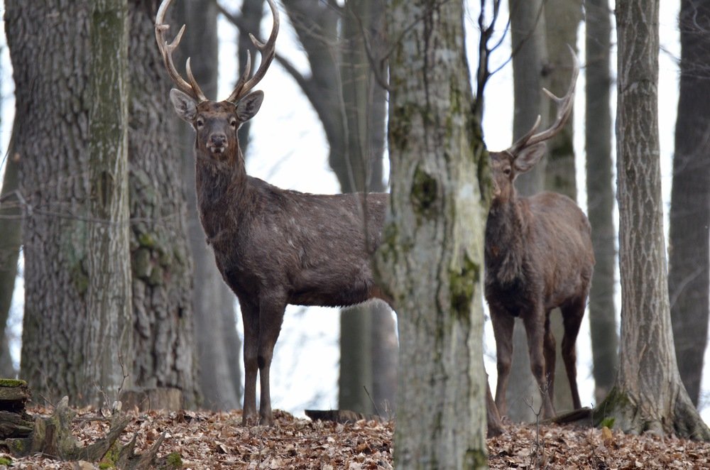 Photograph by Светлана Ткаченко