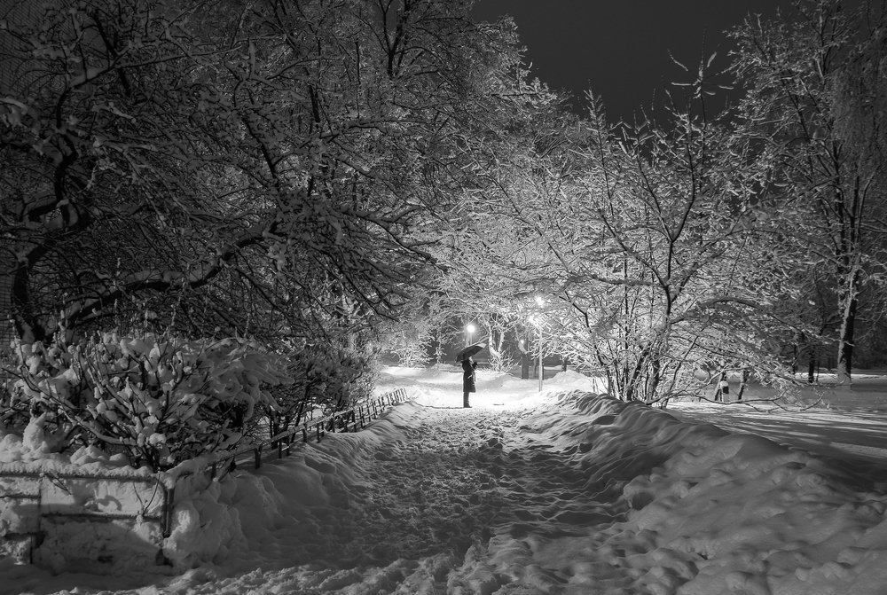 Photograph by Света и Вася