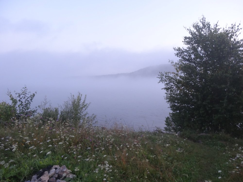 Photo #4328467