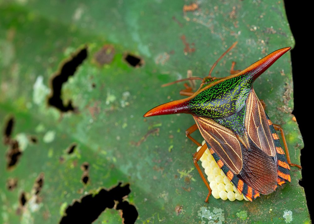 Photograph by Михаил Омелько