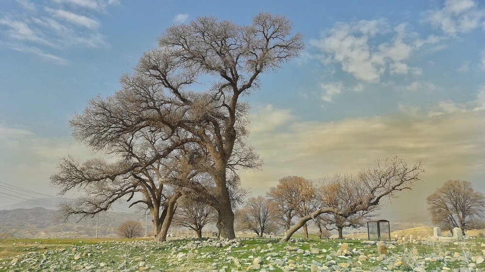 Photograph by Edris Khosravizadeh