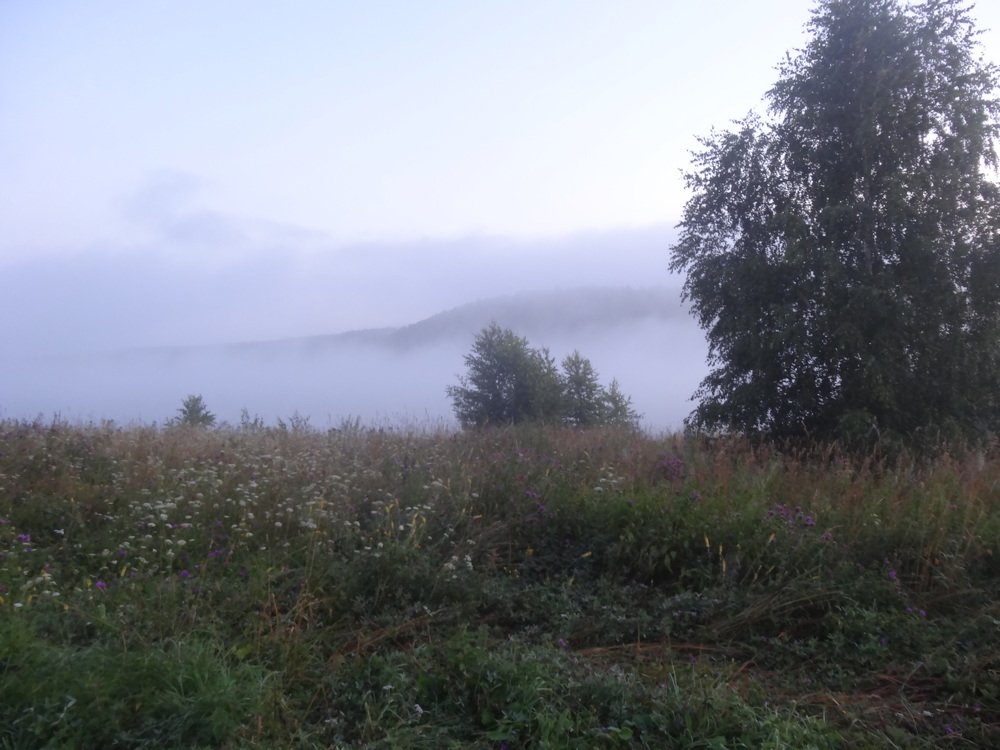 Photo #4328512