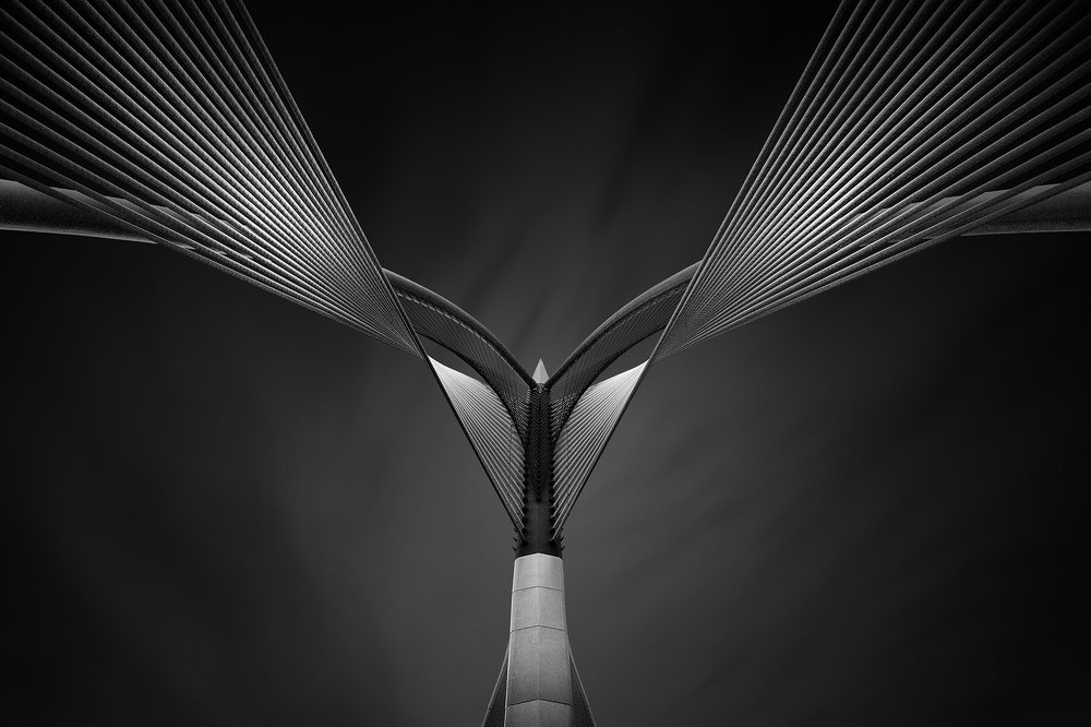 The wings of an angel