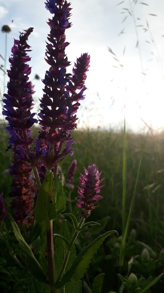 Photograph by Камила