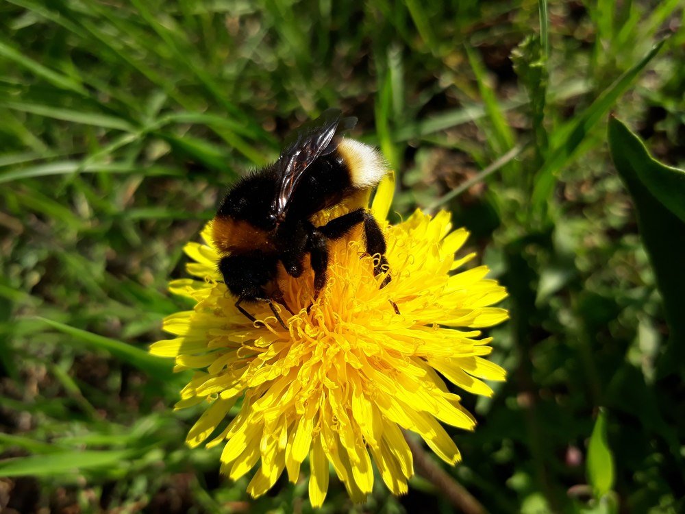 Photograph by Камила