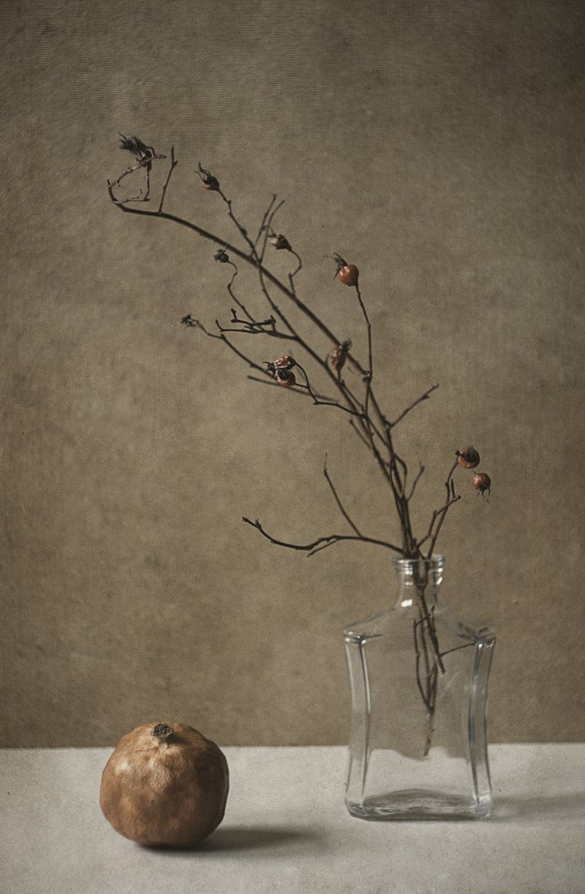 Photograph by Ольга Алексейчик