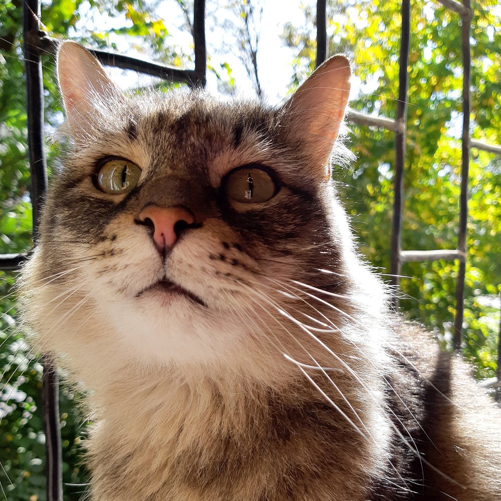 Photograph by Inessa Botasheva