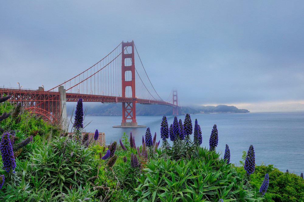 Photograph by Евгения Чех