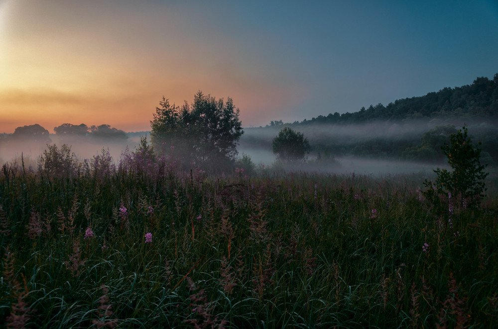 Photograph by Борис Шохин
