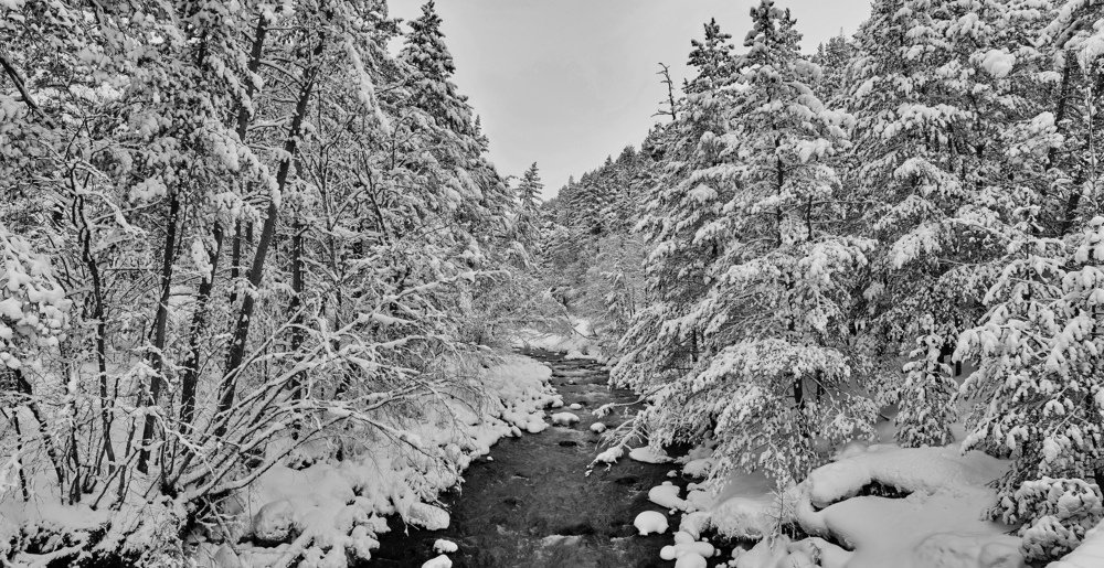 Photograph by Алексей Приешкин