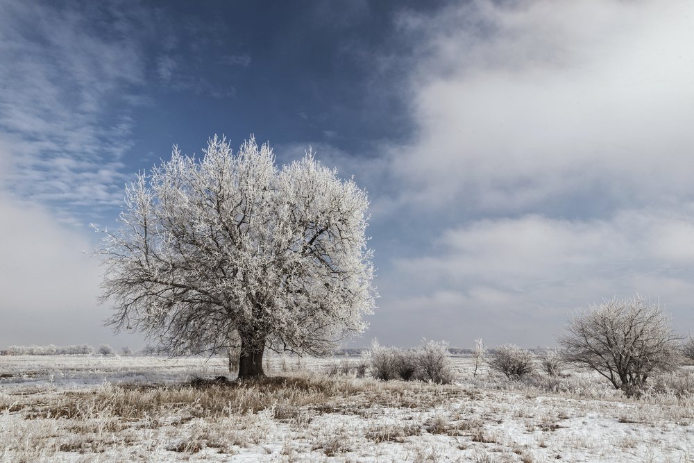 Фотография автора Игорь Баранов