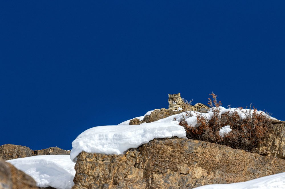 Фотография автора Ashok Behera