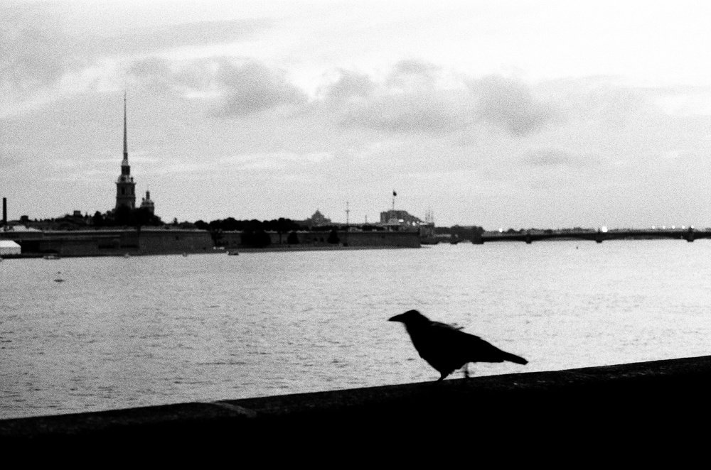 Углы Петрограда