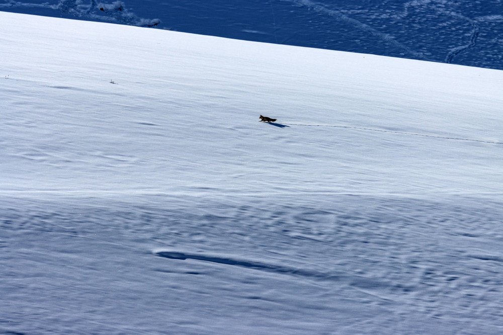 Фотография автора Ashok Behera