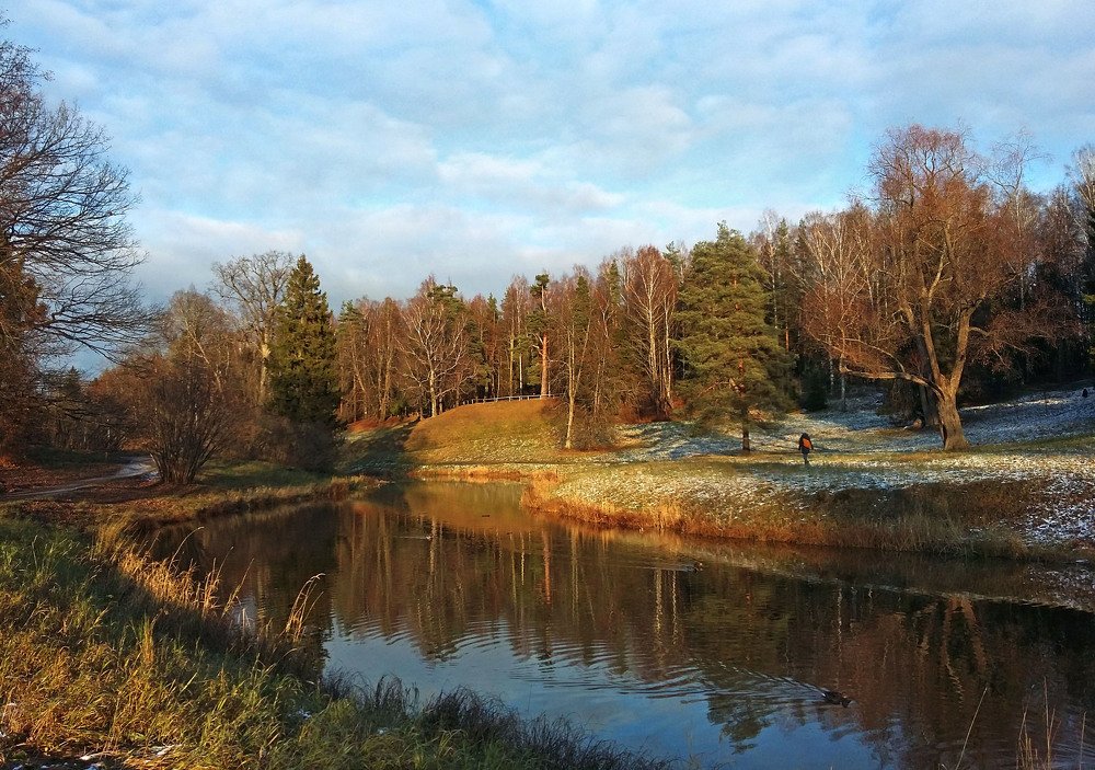 Photo #4328974