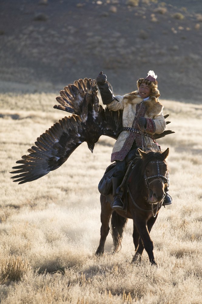 Орел или курица?