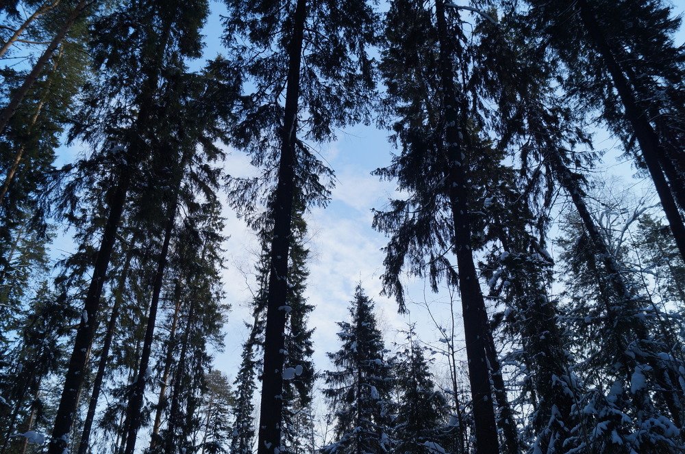 Отражение мыслей.