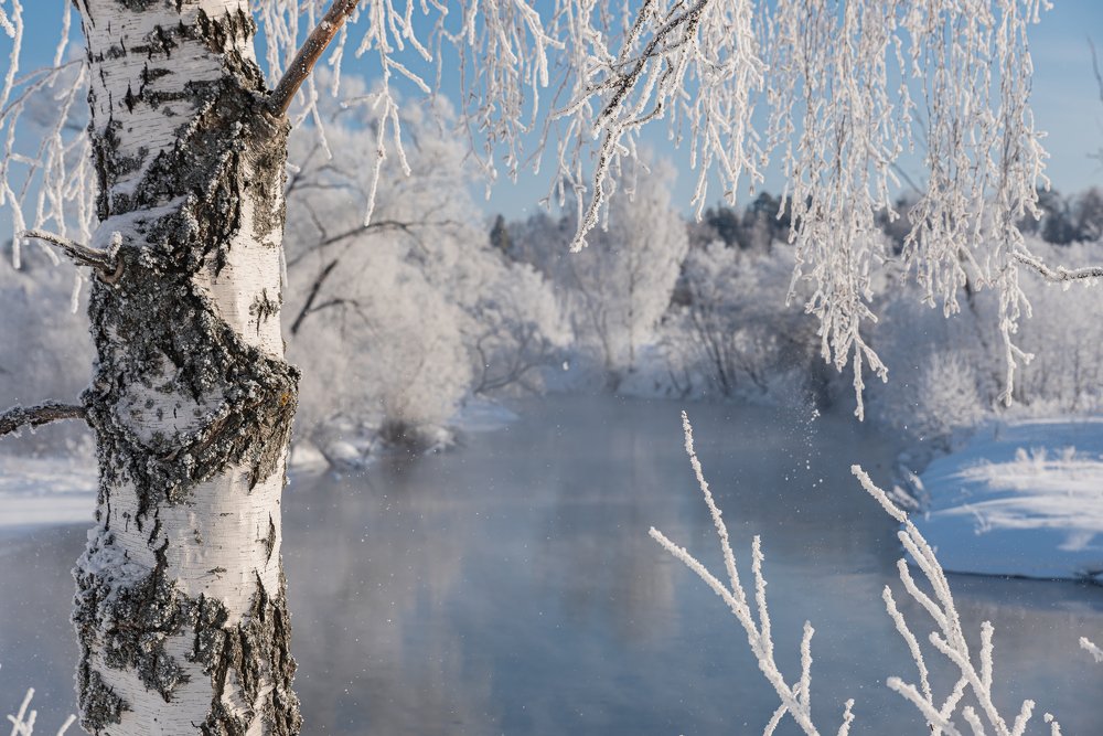 Photograph by Юлия Терехина