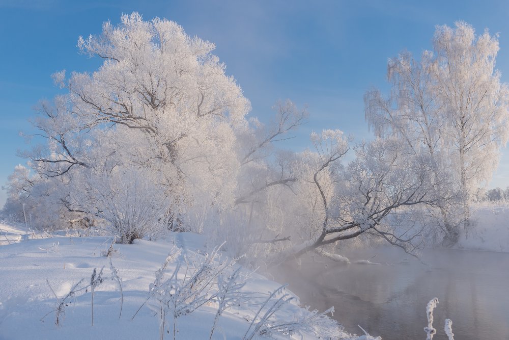 Photograph by Юлия Терехина
