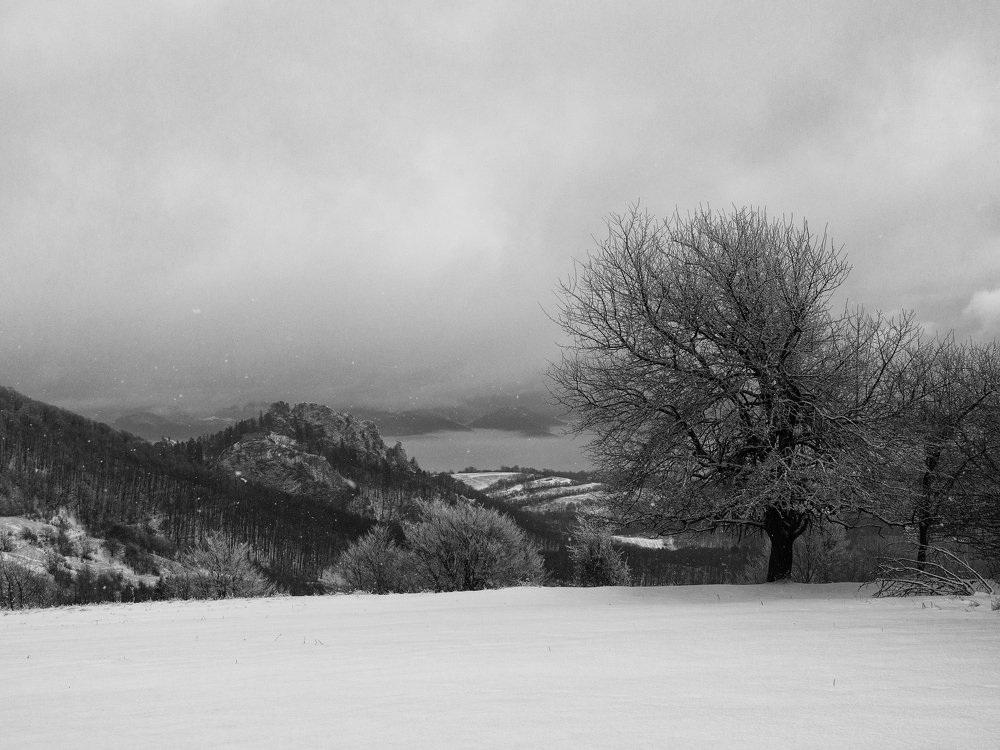 Photograph by Jaroslav Vyhnicka