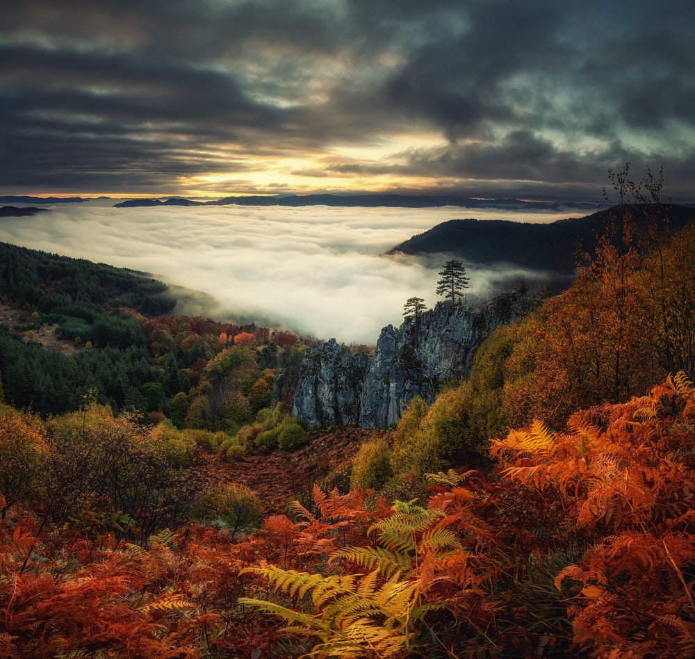 Photograph by Костадин Маджаров