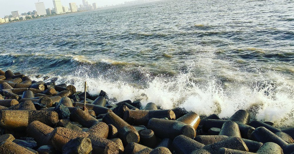 Photograph by Nagendra sahu