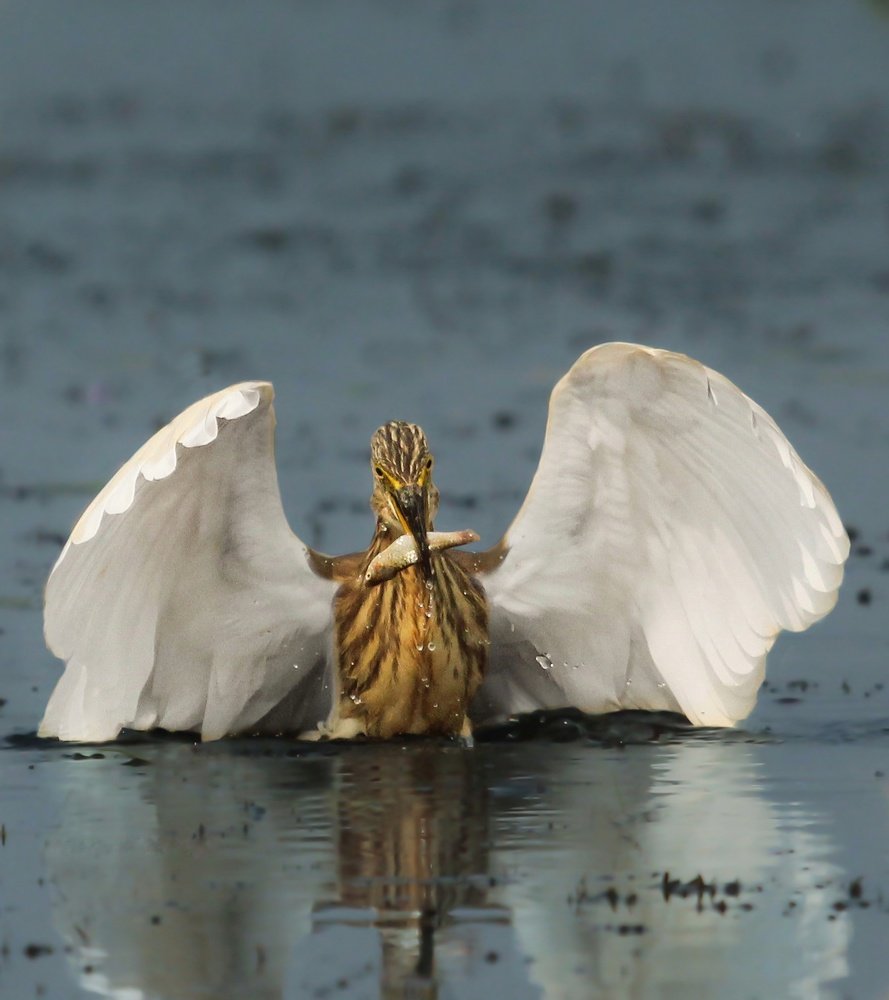 Click my pic,I am posing!