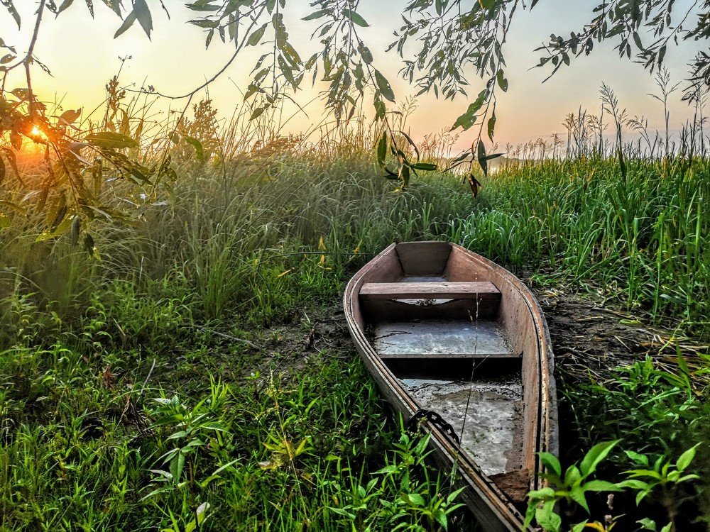 Пейзаж с лодкой в траве