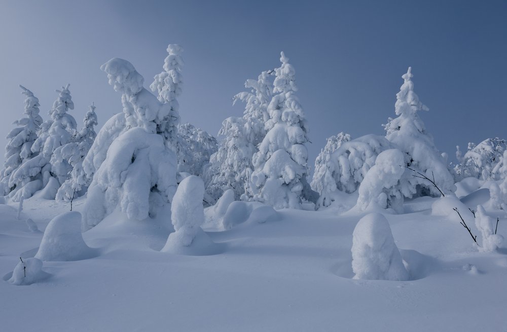 Photograph by Евгений Гецев