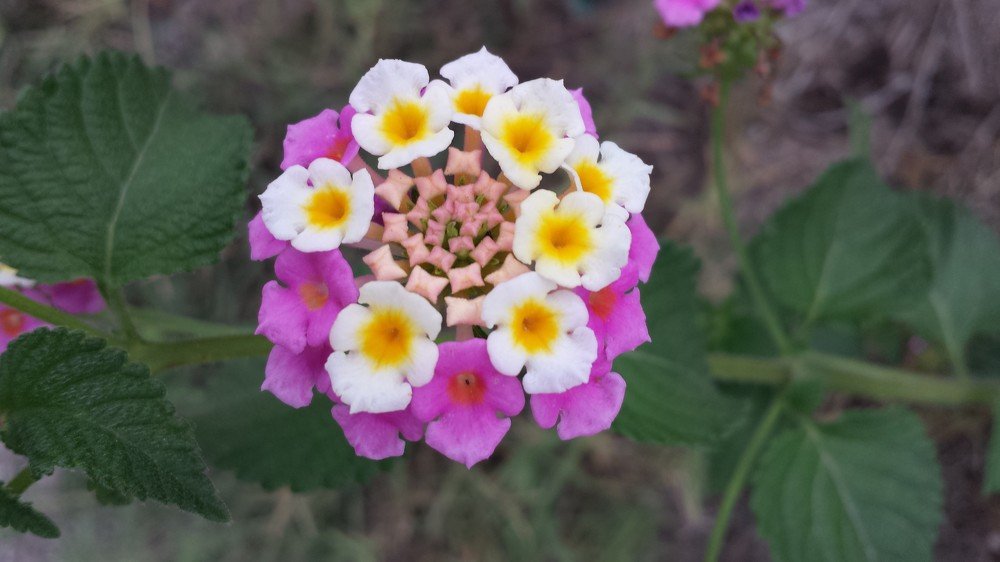 Photograph by Нуриля Аметакунова