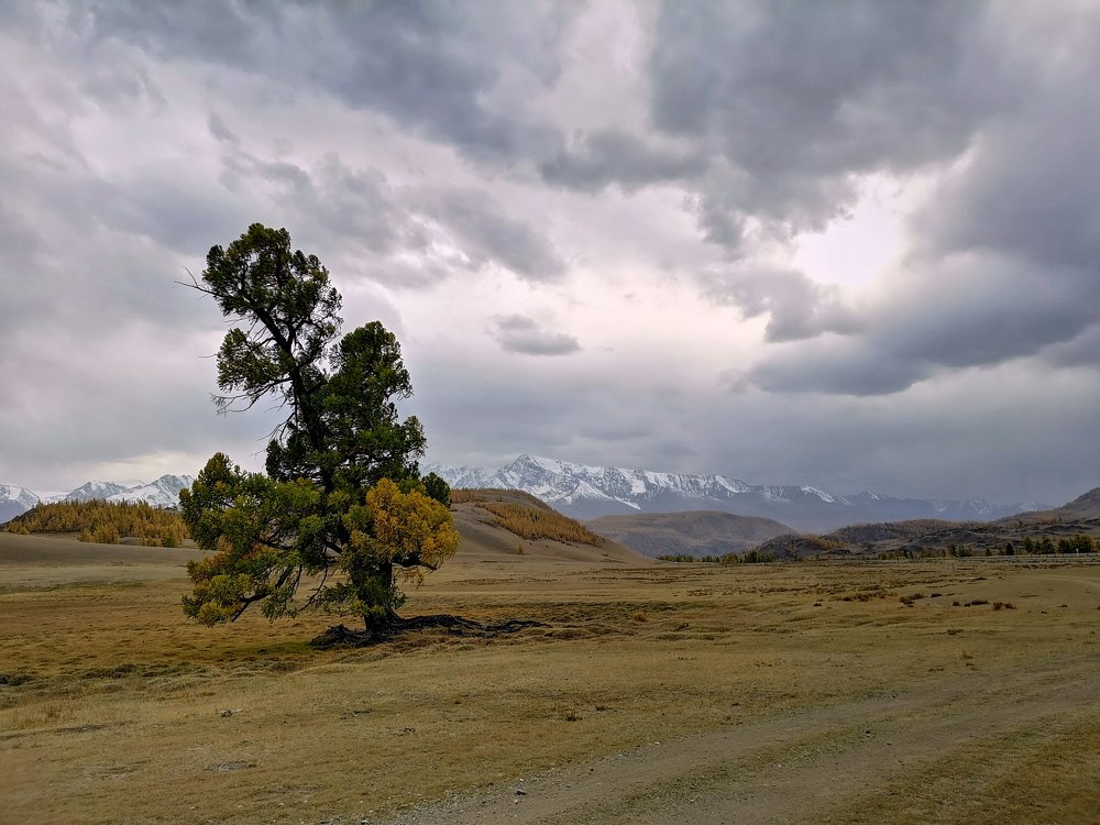Ожидание ненастья.