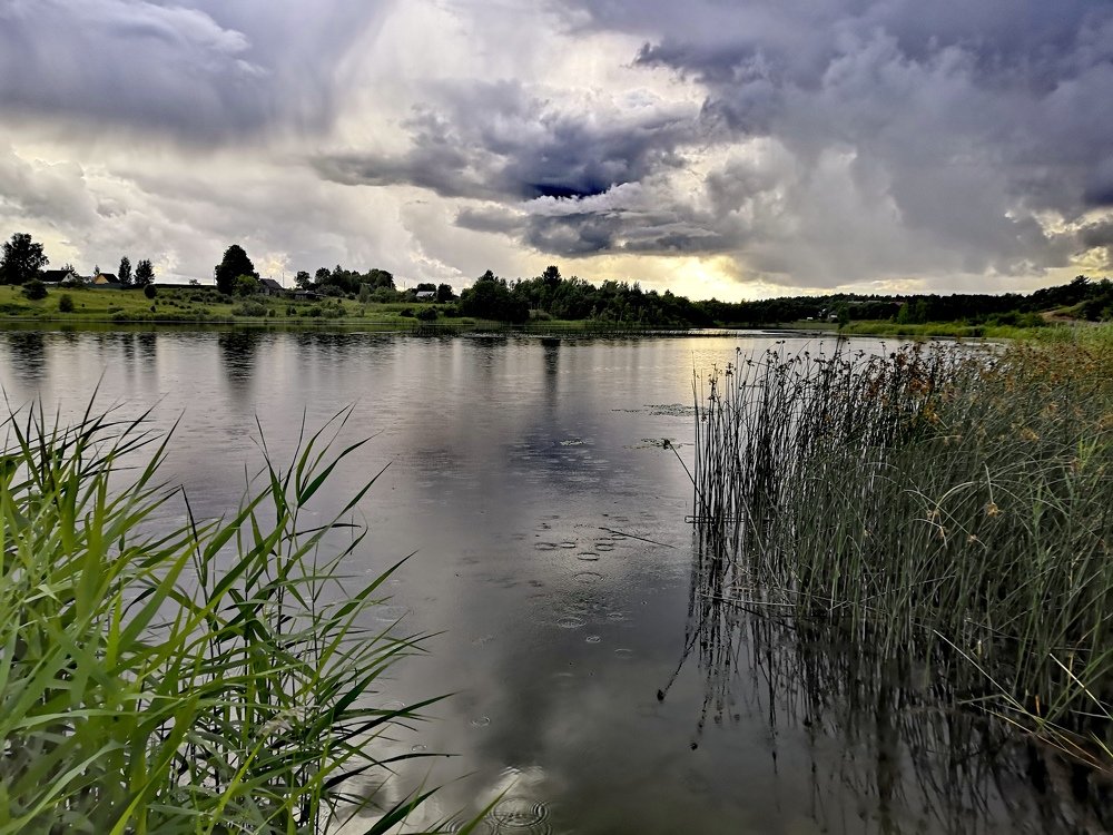 Photograph by Юлия Хаванова