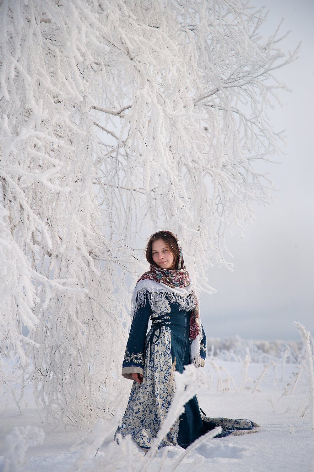 Photo #4329440