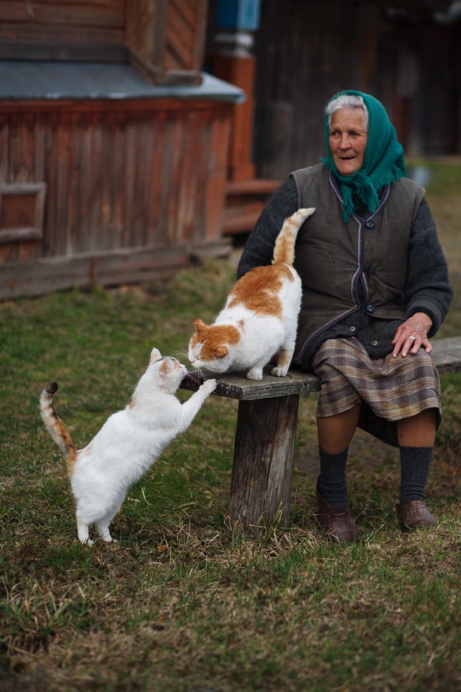 Photograph by Юлия