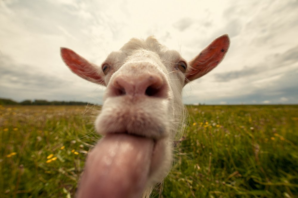 Photograph by Юлия