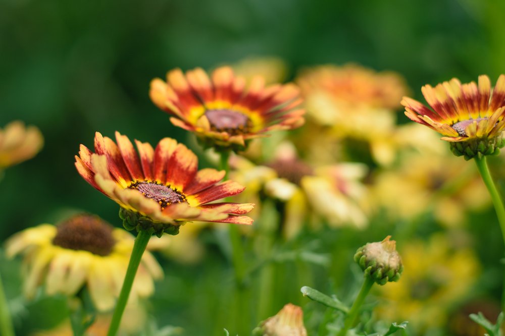 Photograph by Татьяна Мельник