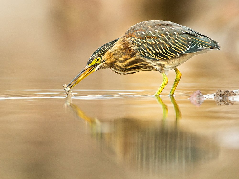 Photograph by Andrés Ruggeri
