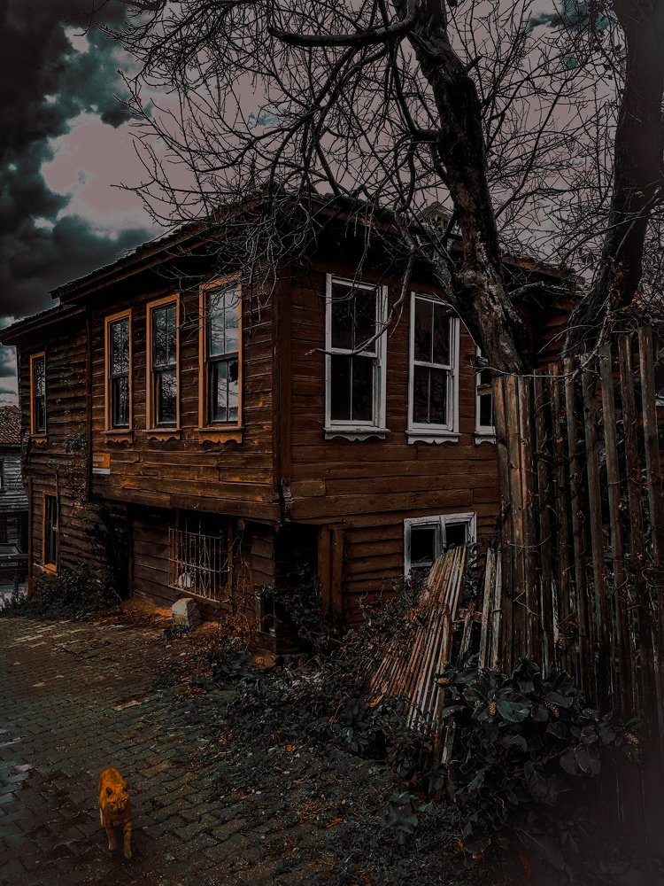 Photograph by Houda Kabbara