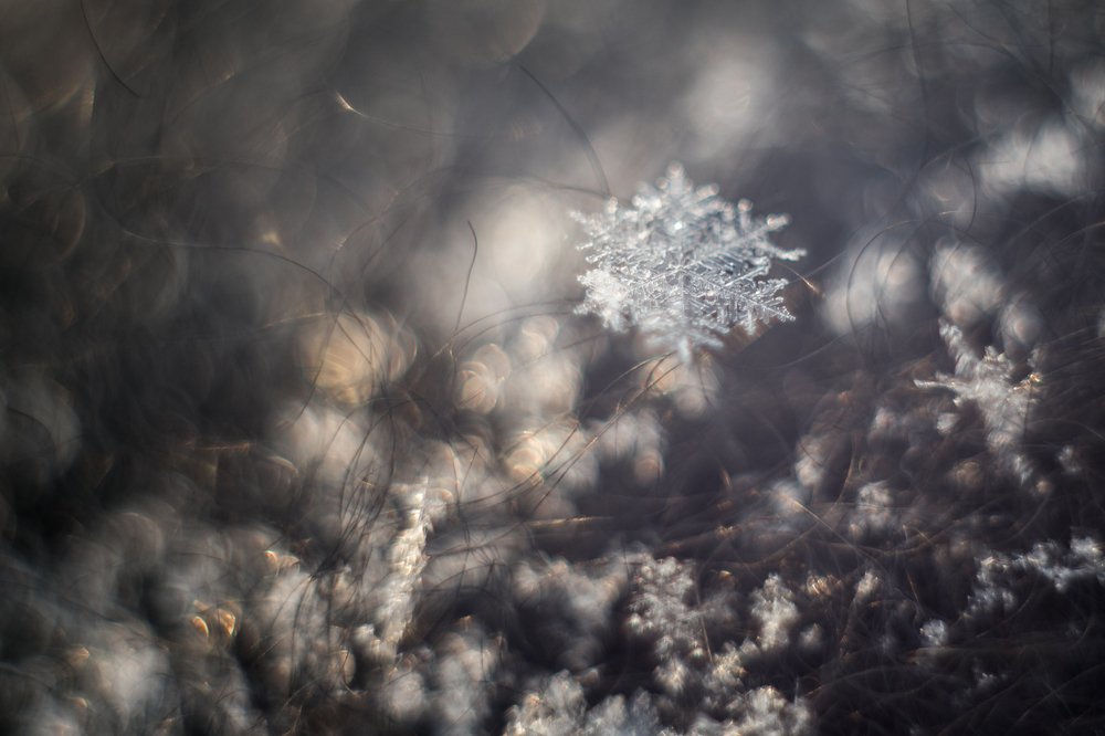 Photograph by Натали Чалык