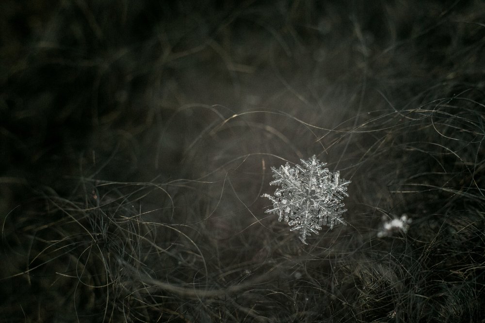 Photograph by Натали Чалык