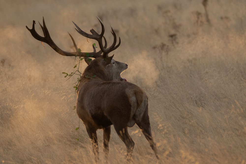 Фотография автора MARIA KULA