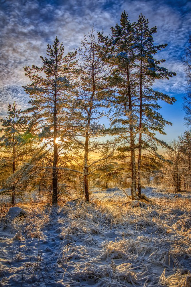 Photograph by Сергей Малеев