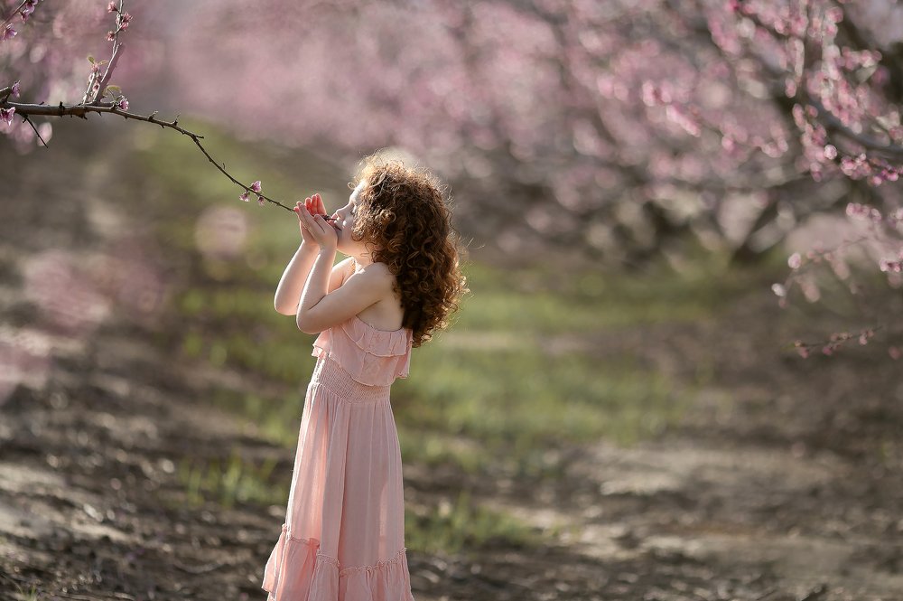 Photograph by Libby Peer