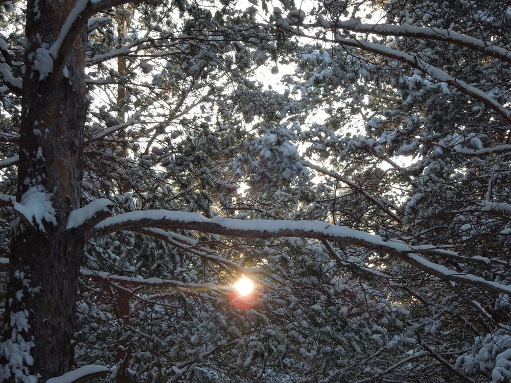 Photograph by Елена Болтенкова