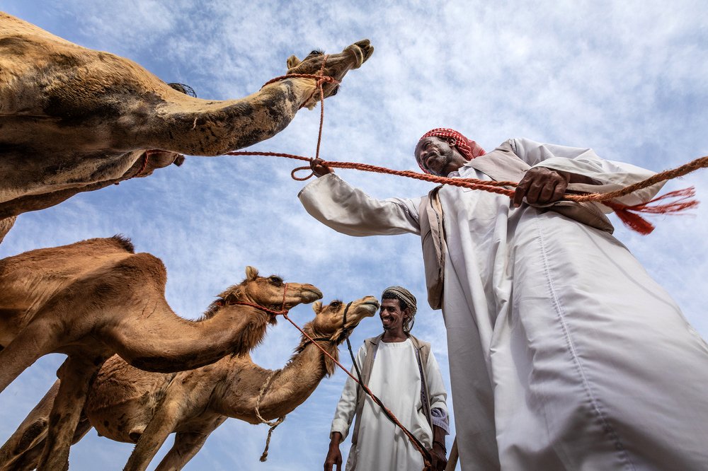 Faces of Al Ain Cattle Market